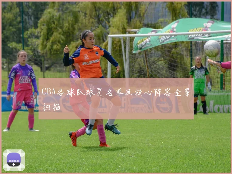 CBA各球队球员名单及核心阵容全景扫描