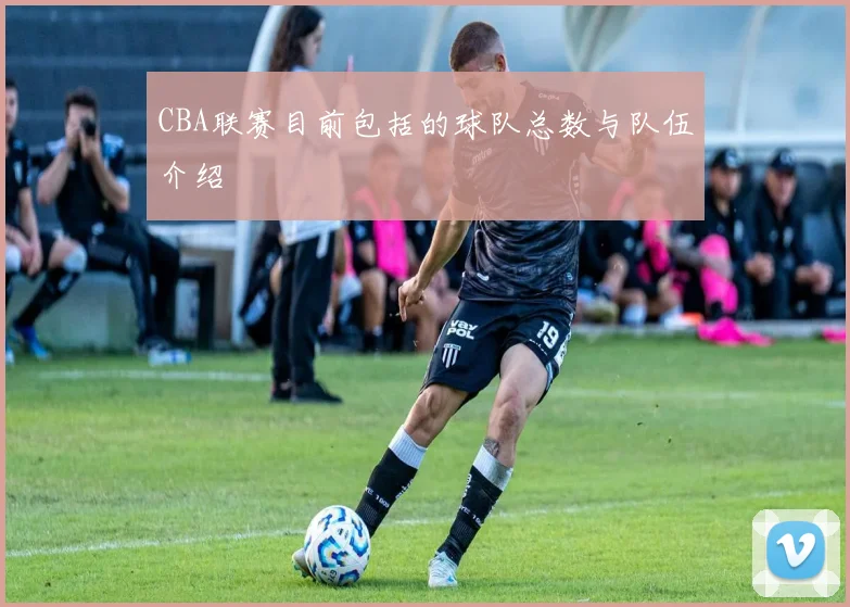 CBA联赛目前包括的球队总数与队伍介绍