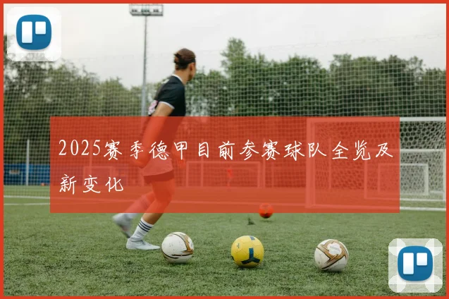 2025赛季德甲目前参赛球队全览及新变化