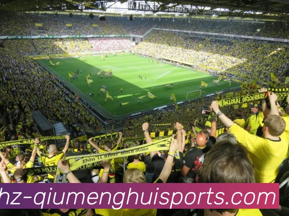 球盟会服务体系